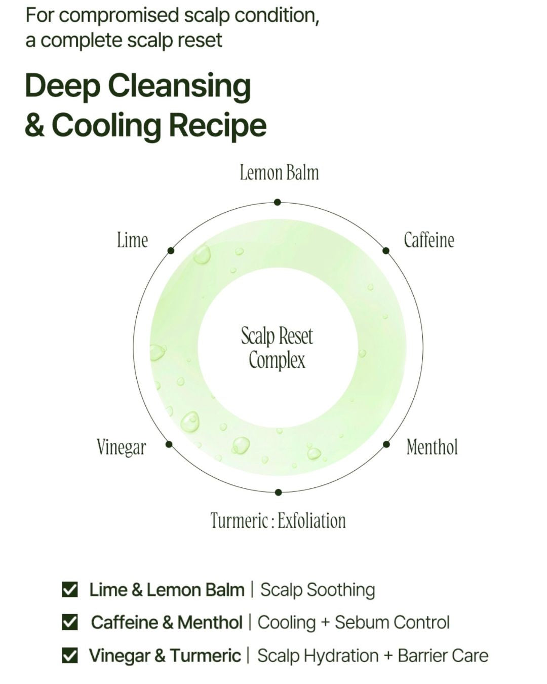 DAILY FRESH HAIR SPA