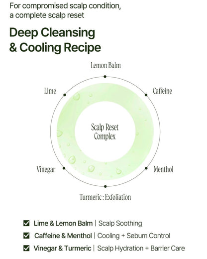 DAILY FRESH HAIR SPA