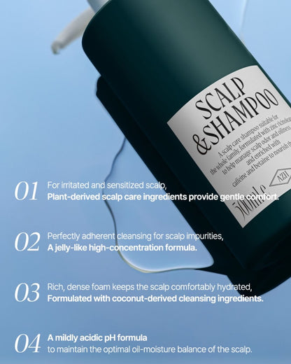 SCALP & SHAMPOO