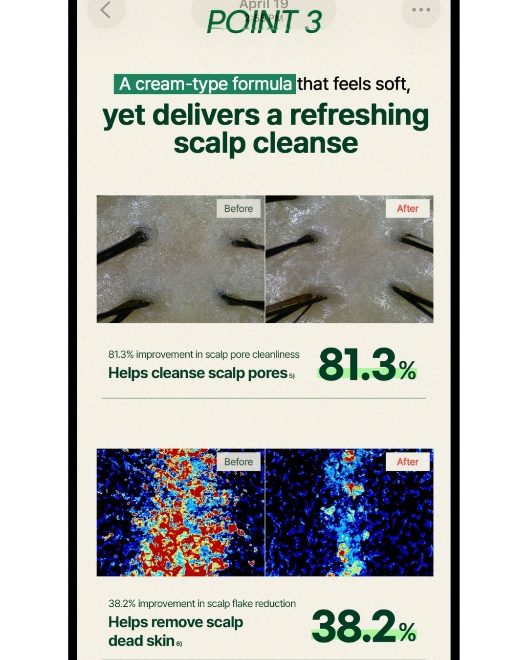 CLEAN & TREATMENT