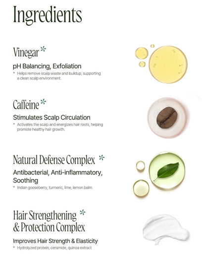 DAILY FRESH HAIR SPA