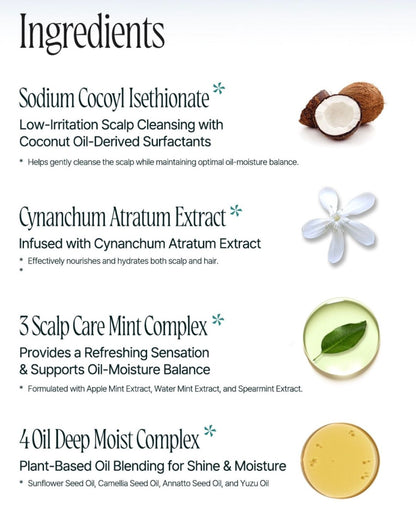 SCALP & SHAMPOO